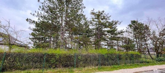 Земельный участок в Шварцау ам Штайнфельд, Австрия № 36939 6