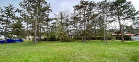 Земельный участок в Шварцау ам Штайнфельд, Австрия № 36939 2