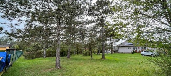 Земельный участок в Шварцау ам Штайнфельд, Австрия № 36939 3