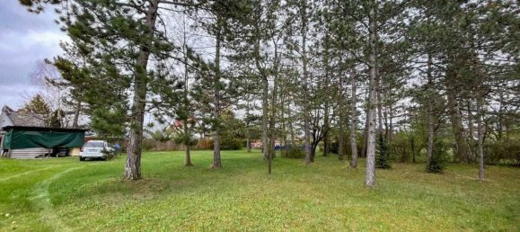 Земельный участок в Шварцау ам Штайнфельд, Австрия № 36939 5