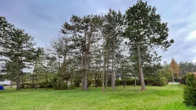 Земельный участок в Шварцау ам Штайнфельд, Австрия № 36939