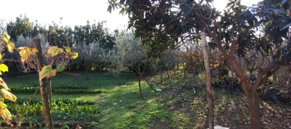 2 Schlafzimmer Haus in Poggiomarino, Italy, Nr. 30346 48