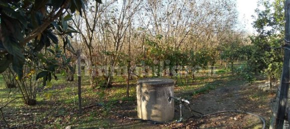 2 Schlafzimmer Haus in Poggiomarino, Italy, Nr. 30346 22