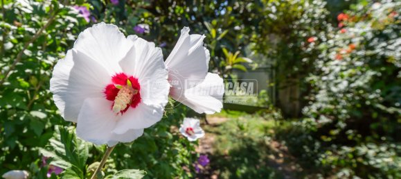 5 rooms House in Narzole, Italy No. 275041 16