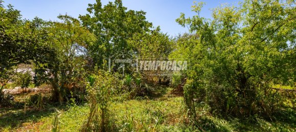 5 rooms House in Narzole, Italy No. 275041 12