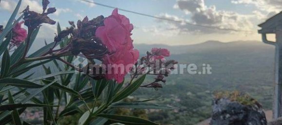 2 bedrooms Villa in Serrone, Italy No. 319523 47