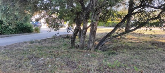  Land in Javea, Spain No. 13200 2