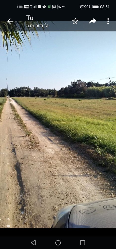 Земельный участок 5300м² в Бриндизи, Италия № 255330