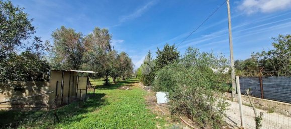 3-Zimmer Villa in Francavilla Fontana, Italy, Nr. 22489 25