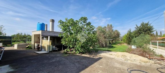 3-Zimmer Villa in Francavilla Fontana, Italy, Nr. 22489 28