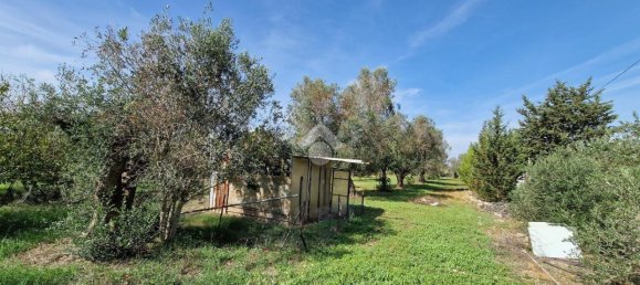 3-Zimmer Villa in Francavilla Fontana, Italy, Nr. 22489 17