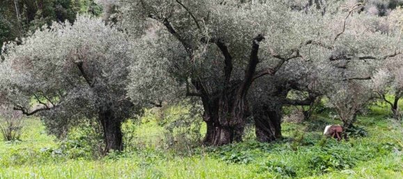 5غرفة منزل في Sardinia, Italy رقم 297806 7