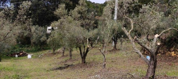 5غرفة منزل في Sardinia, Italy رقم 297806 6