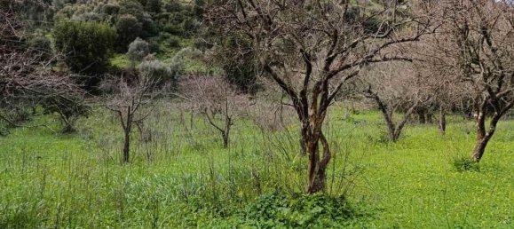 5غرفة منزل في Sardinia, Italy رقم 297806 8