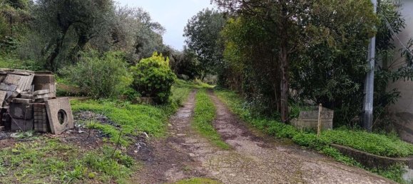 5غرفة منزل في Sardinia, Italy رقم 297806 9