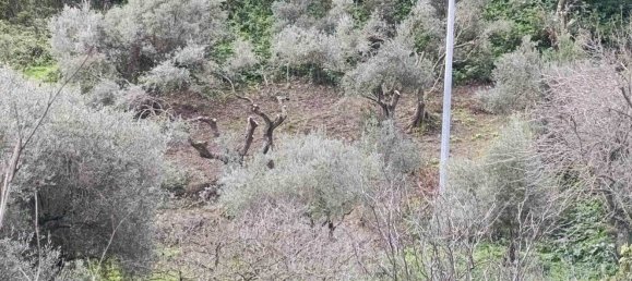 5غرفة منزل في Sardinia, Italy رقم 297806 5