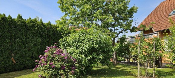 4 rooms House in Gabersdorf, Austria No. 135787 2