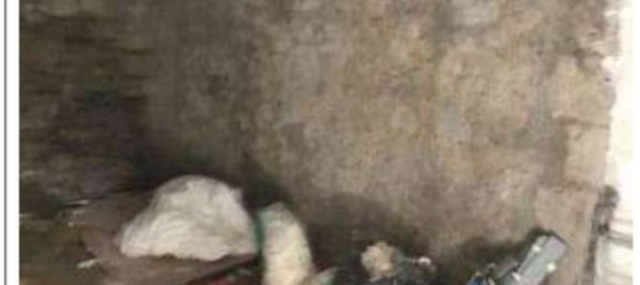 Almacén de 1 habitación en Caprarola, Italy No. 290309 8