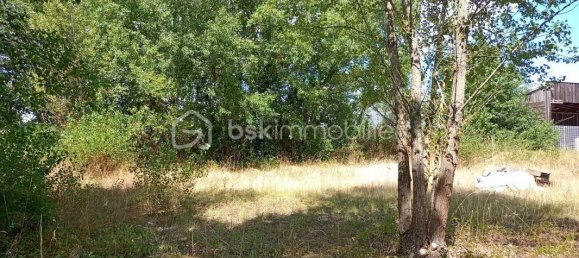  عقار تجاري في Langon, France 1300متر مربع رقم 278130 17