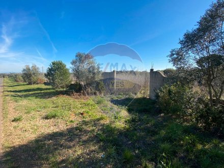 7200m² Land in Santarem, Portugal No. 72337