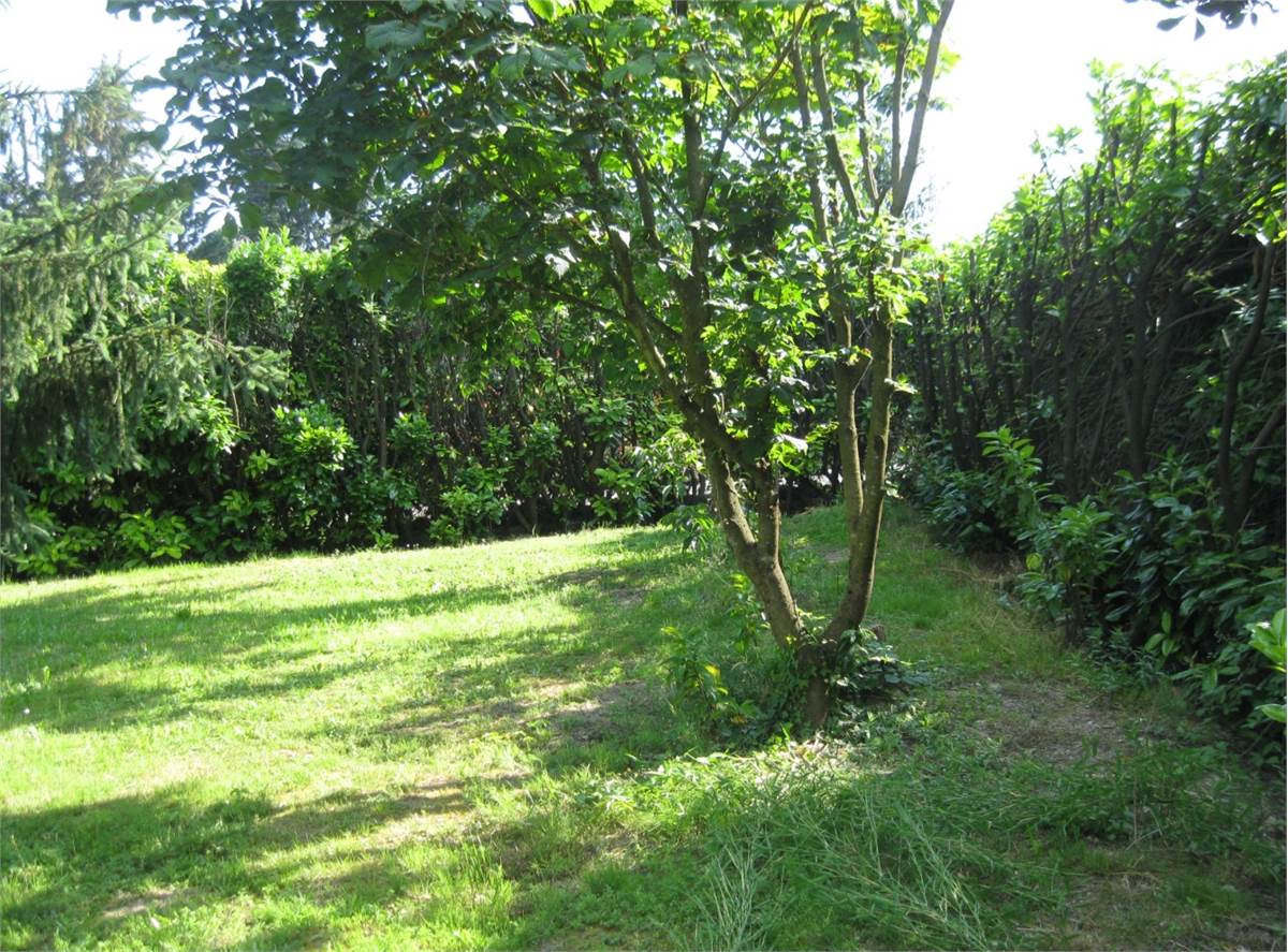 1-Zimmer Grundstück in Olgiate Molgora, Italy, Nr. 289446