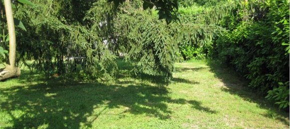 1-Zimmer Grundstück in Olgiate Molgora, Italy, Nr. 289446 5