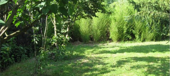 1-Zimmer Grundstück in Olgiate Molgora, Italy, Nr. 289446 6