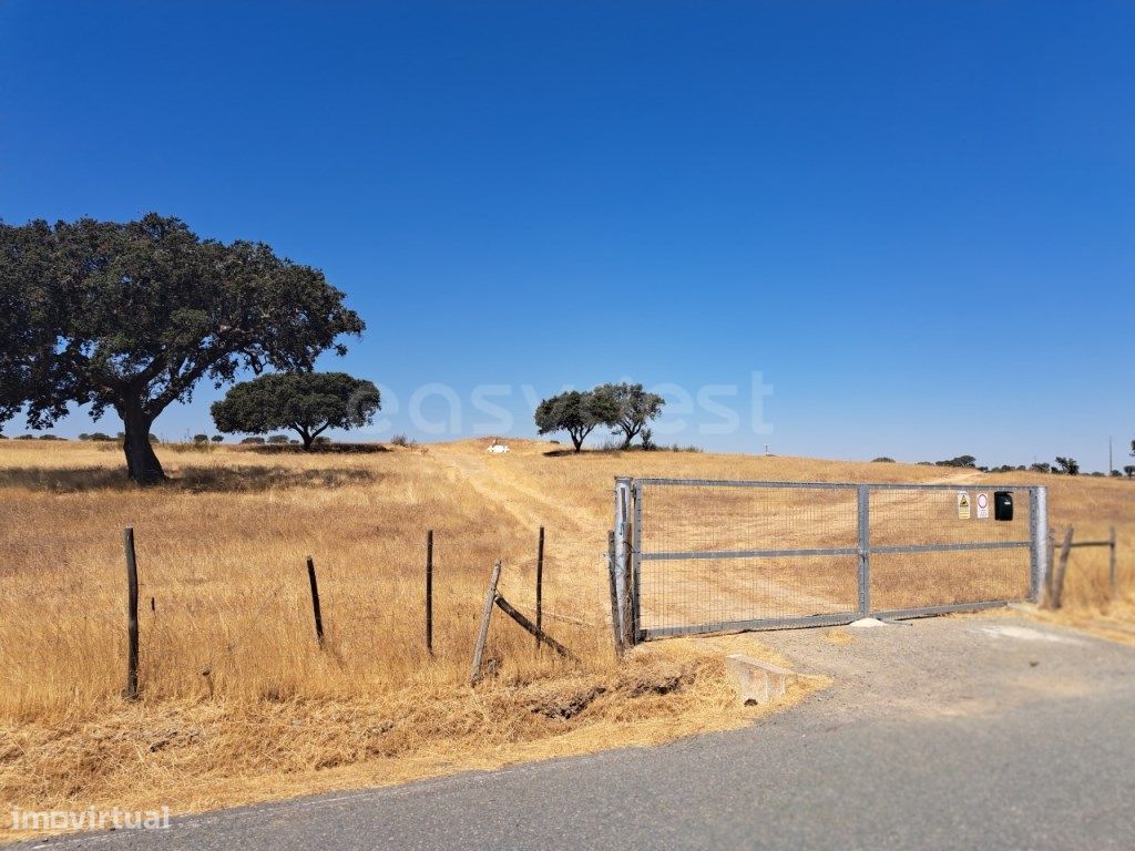 112500m² Land in Almodovar, Portugal No. 231559