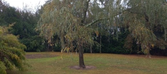 Terreno en La Chevallerais, France 561 m² No. 291532 3