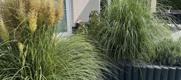 4 غرف نوم فيلا في Dahme-Spreewald, Germany رقم 318744 3