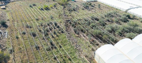 Terreno en Santa Croce Camerina, Italy 9698 m² No. 126788 17