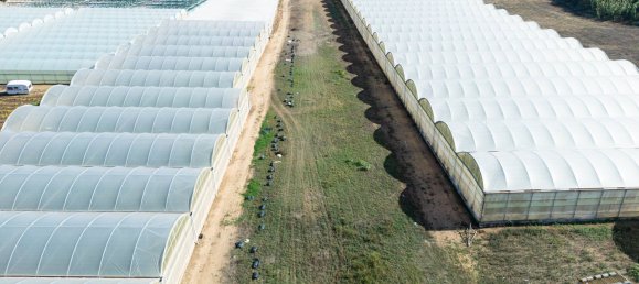 Terreno en Santa Croce Camerina, Italy 9698 m² No. 126788 19