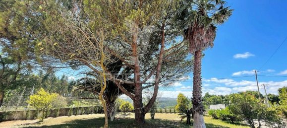 5 Schlafzimmer Haus in Caldas da Rainha, Portugal, Nr. 139360 26