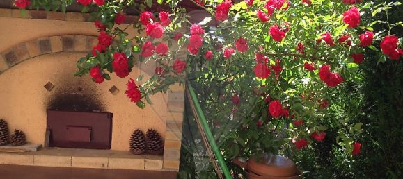 5 chambres Maison à Saulnes, France No. 50483 21