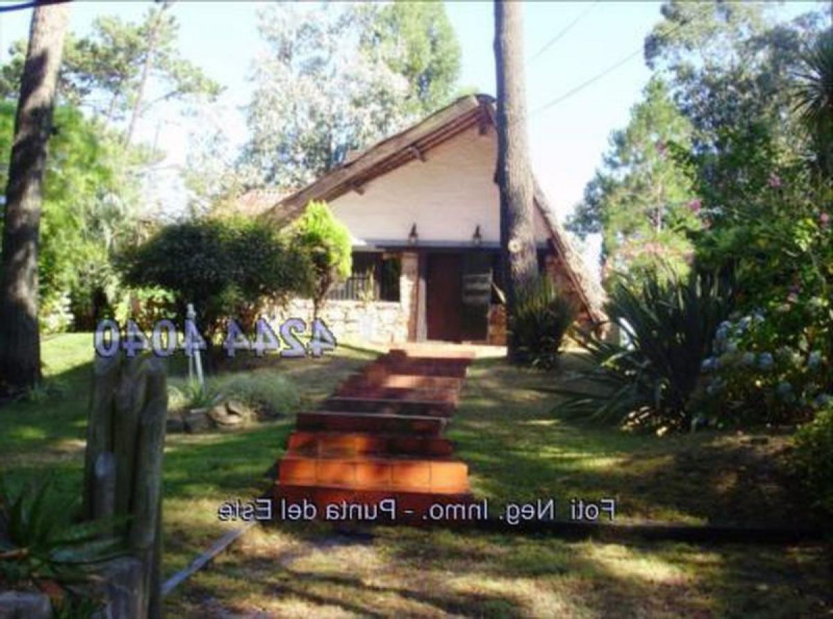 4 Schlafzimmer Haus in Maldonado, Uruguay, Nr. 5481