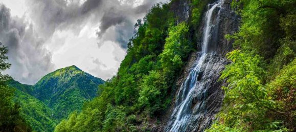 3 rooms Hotel in Arhavi, Turkey No. 40323 29