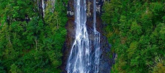 3 rooms Hotel in Arhavi, Turkey No. 40323 27