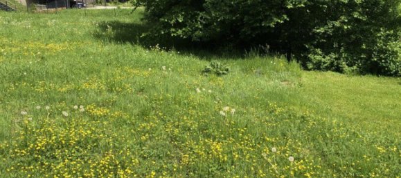  Land in Thal, Austria No. 131302 4