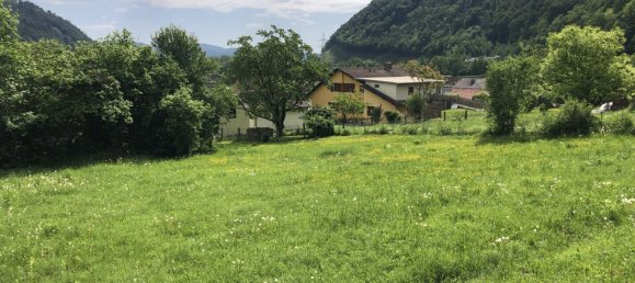  Land in Thal, Austria No. 131302 5