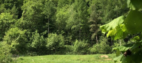  Land in Thal, Austria No. 131302 2