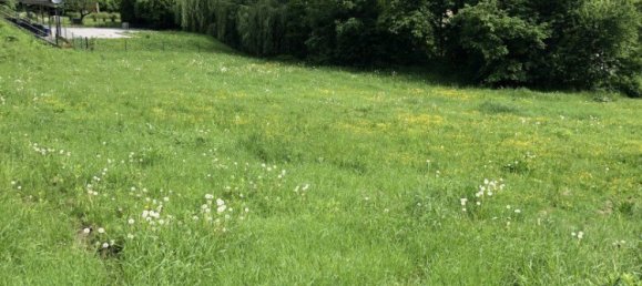  Land in Thal, Austria No. 131302 3