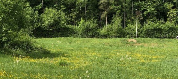  Land in Thal, Austria No. 131302 8