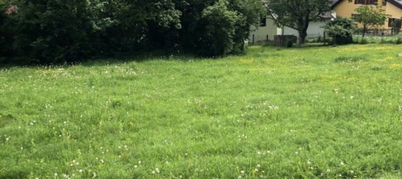  Land in Thal, Austria No. 131302 6