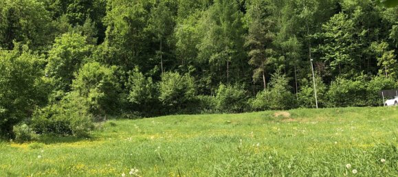  Land in Thal, Austria No. 131302 7