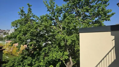 Studio in Penzing, Austria No. 234122