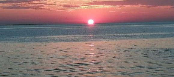 2-Zimmer Haus in Comacchio, Italy, Nr. 131854 21