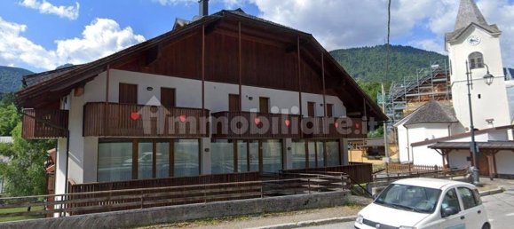 166m² Commercial property in Udine, Italy No. 296479 2