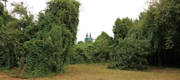  Land in Brandenburg, Germany No. 61646 36