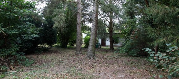  Land in Brandenburg, Germany No. 61646 38