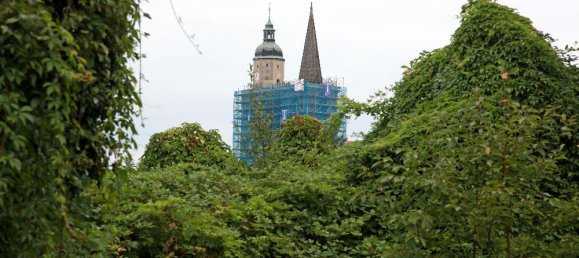  Land in Brandenburg, Germany No. 61646 43